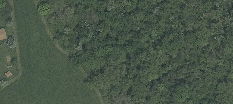 Tr 102