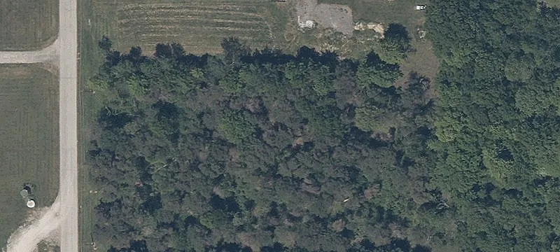 Hewitt Ln