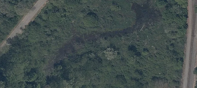 Rdg Ridge