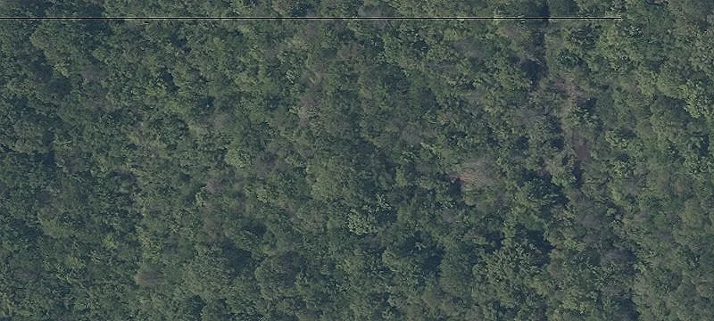 Laskey Rd