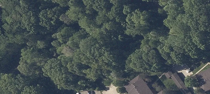 Royalton Rd
