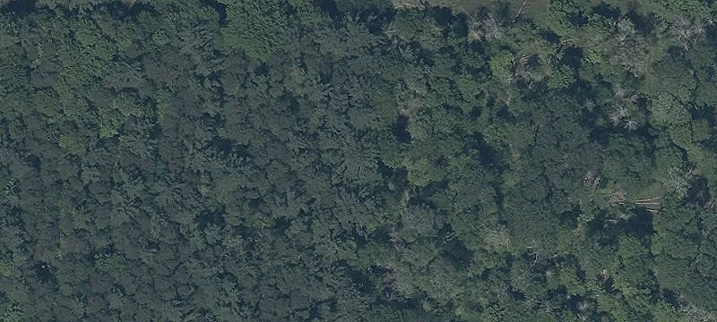 Shaffer Rd