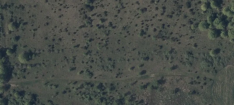 State Rte 18