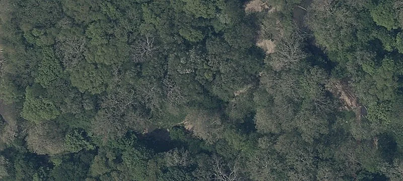Palmyra Rd