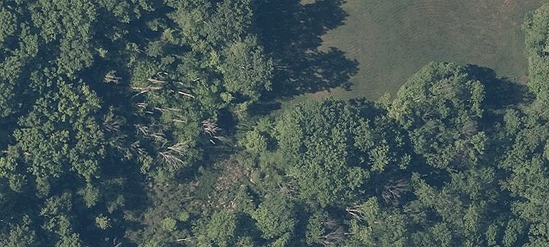 Portage Line Rd