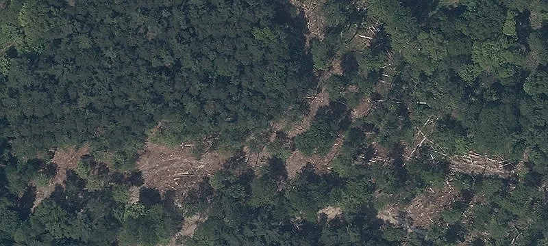 Palmyra Rd