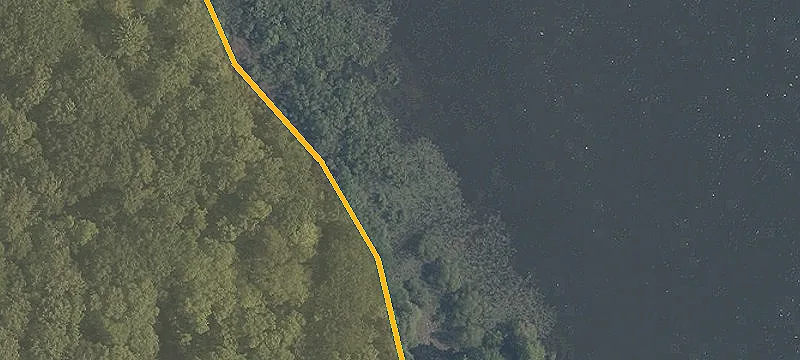 Princeton Rd