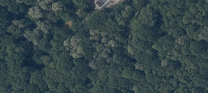 State Rte 534
