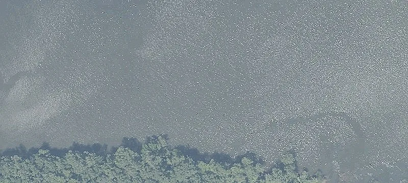  Circle