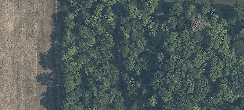 State Rte 82