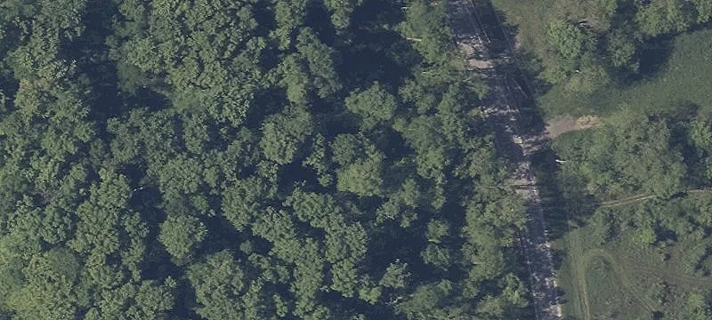 Fitchville Riv S Rd