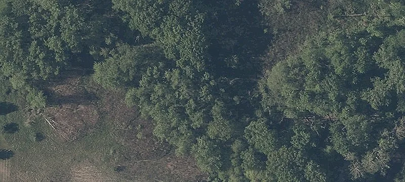 Pettibone Rd