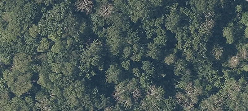 County Line Rd