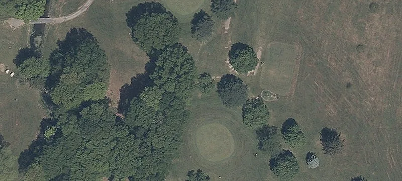 Webber Cole