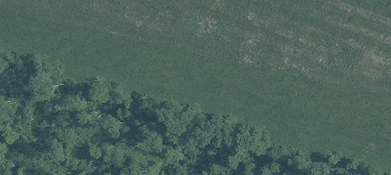 Ctr Rd