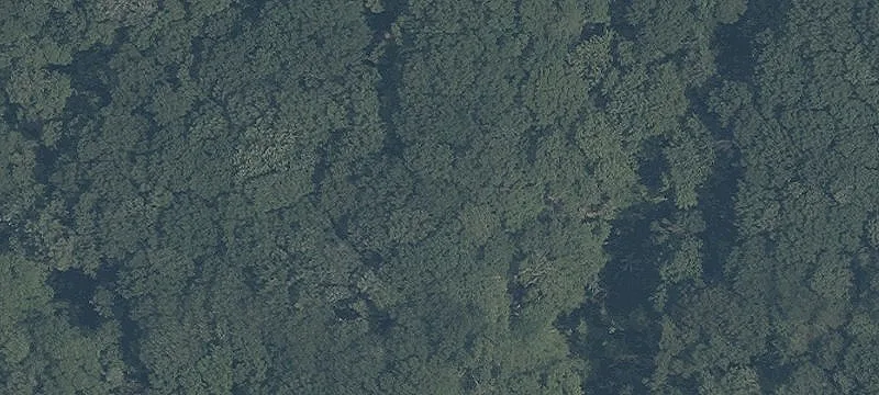 Cascade Rd