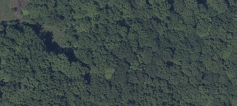 Marks Rd