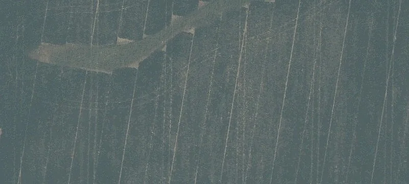 Experiment Farm Rd