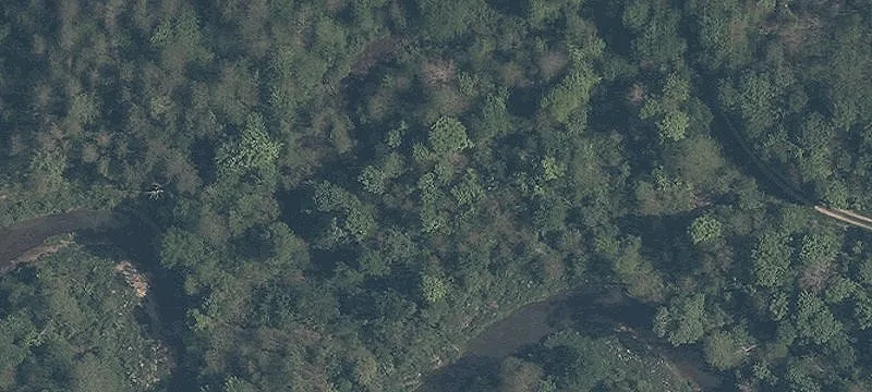 State Rte 82