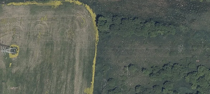 County Rd 251