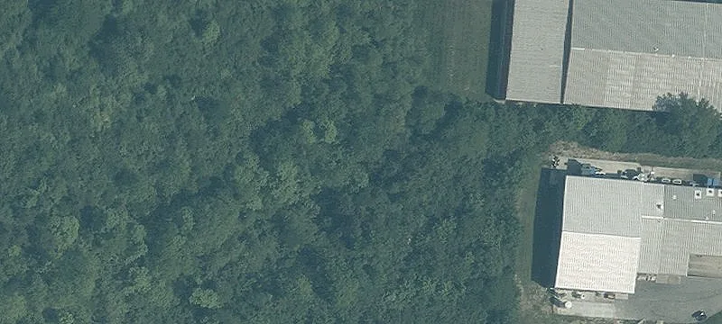 Shotwell Dr