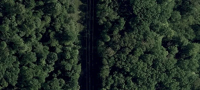 Poplar Ridge