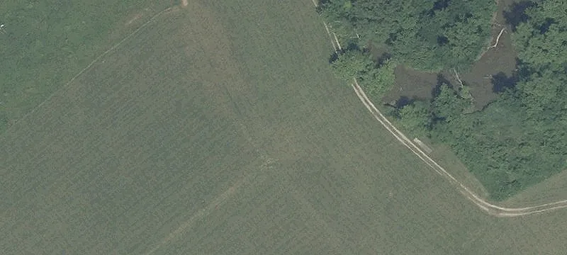 Dawn Rd