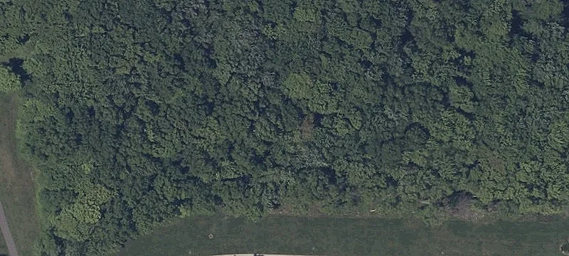 Fry Rd