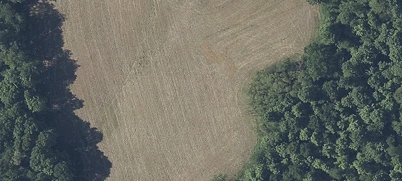 Kidron Rd