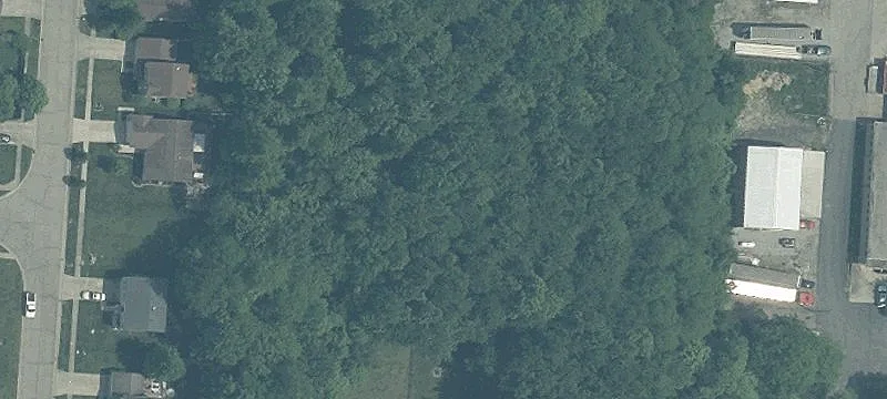 Hildebrant Dr