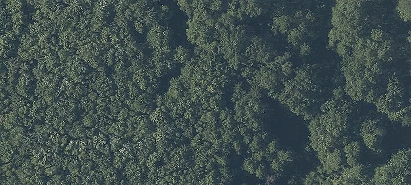 Aurora Rd