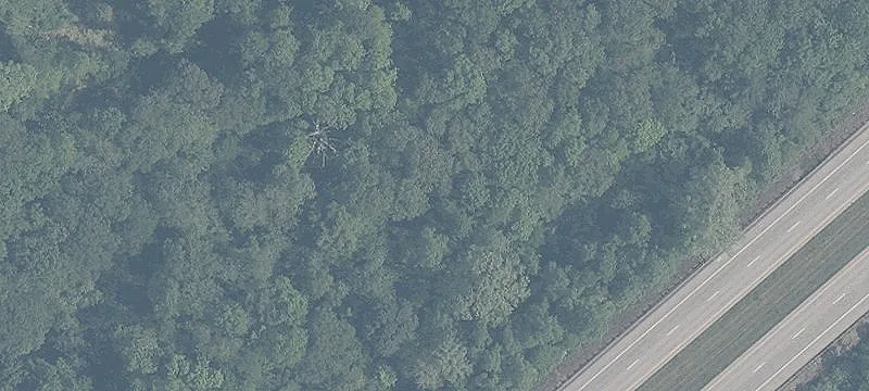 Us 50