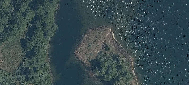 State Rte 43
