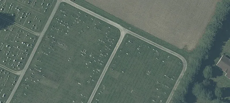 Sd Of Us 35