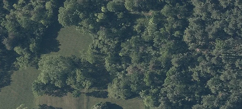 Darrow Rd