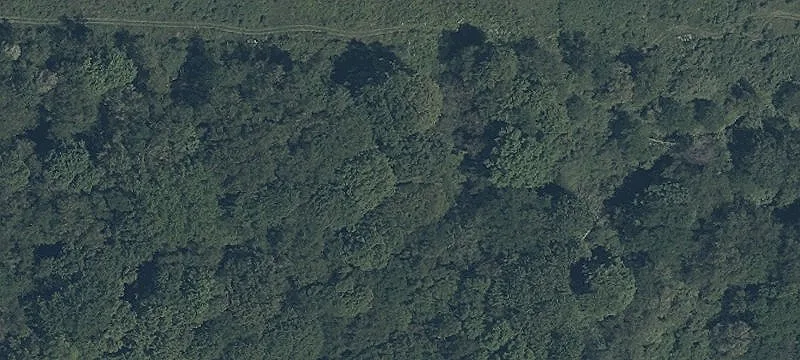Middletown Rd