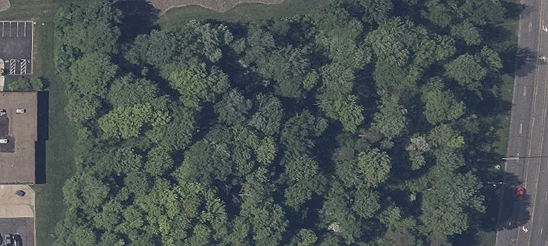 Tree Line Rd