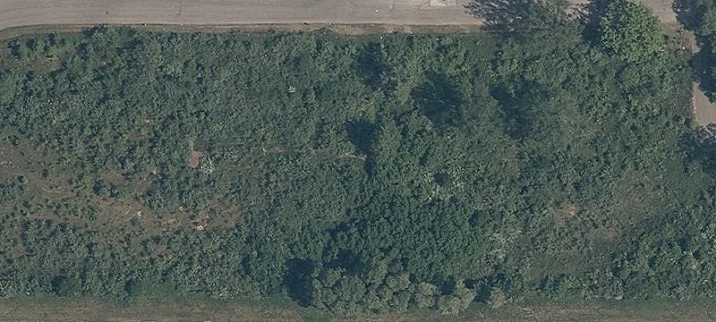 State Rte 43