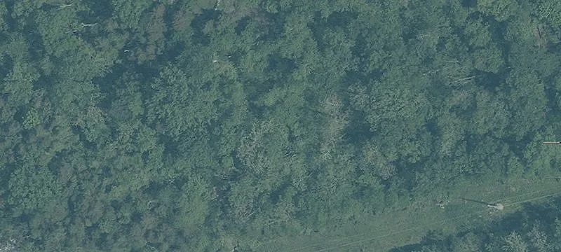 Silvoor Ln