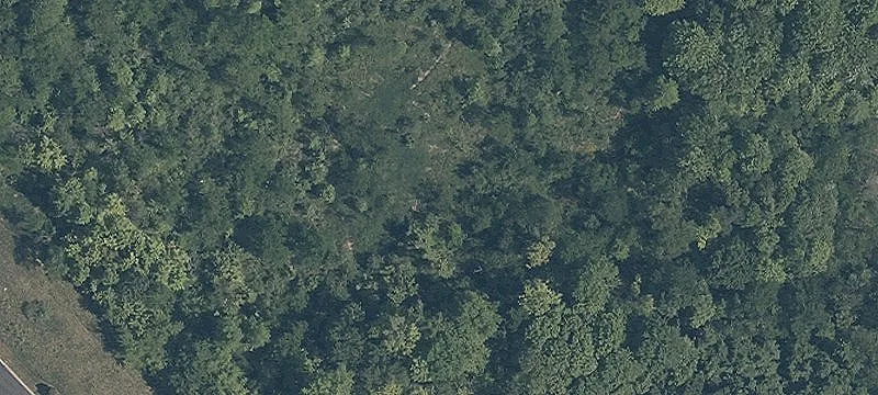 State Rte 43
