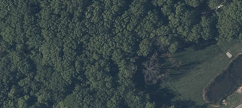 Ss Grn Rd