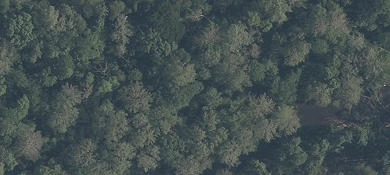 Alliance Rd