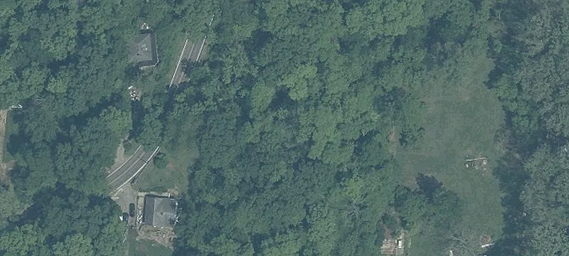 Birch Dr