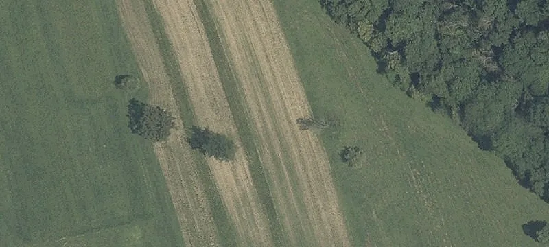 73205 Pattons Run Rd