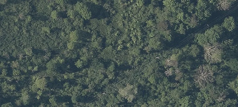 Beaver Mdw Pkwy