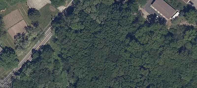 Maple Dr