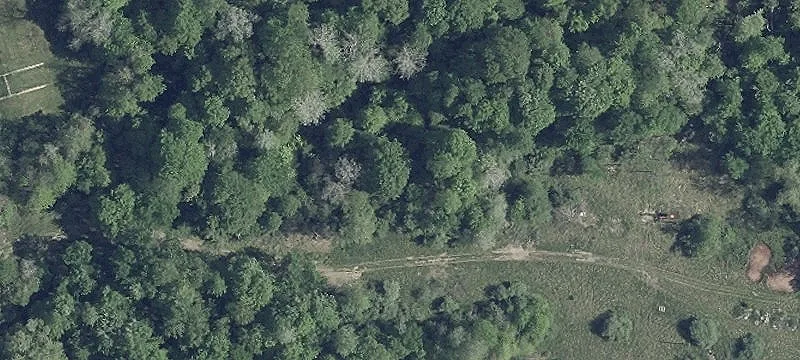 Lindentree Rd