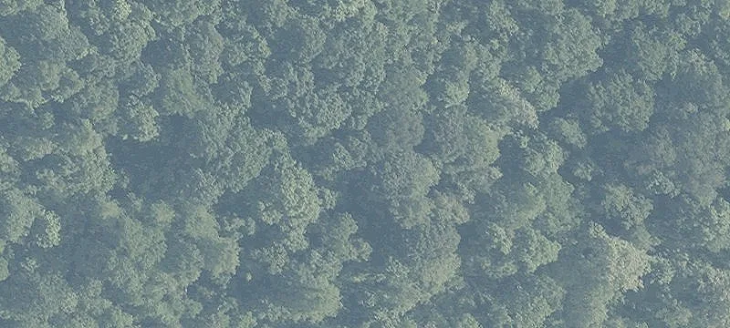 Della Dr