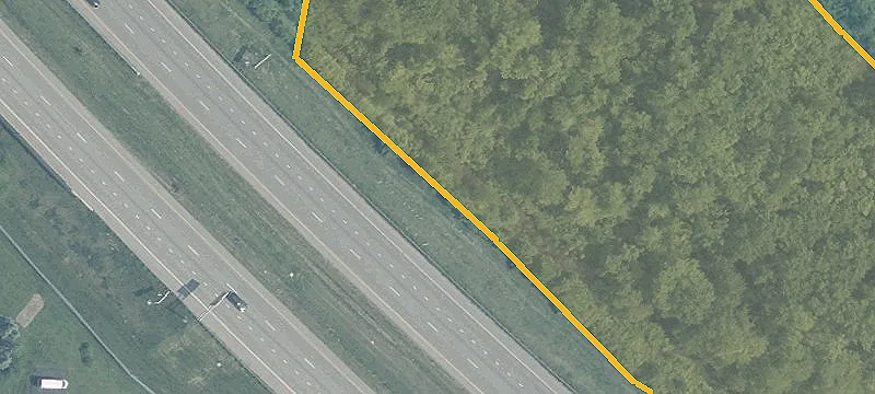 Williams Rd