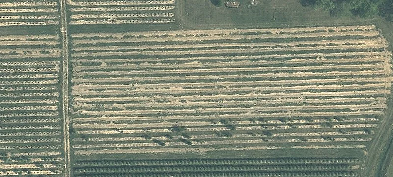 Hartman Rd